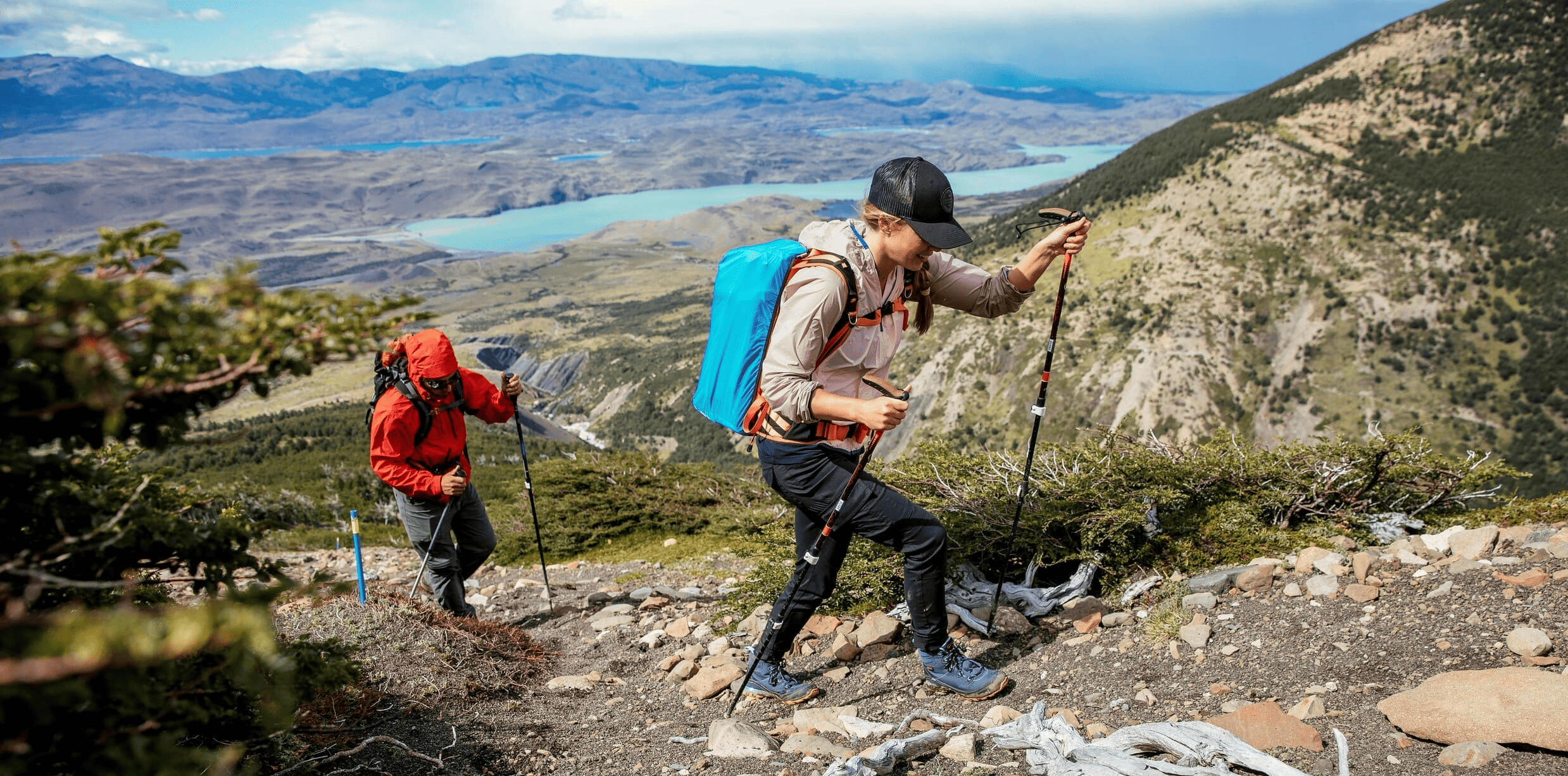 Torres del Paine